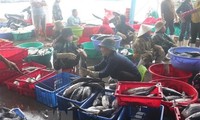 设立支持庆和省渔业发展的国家基金