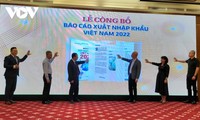 发布2022年越南进出口报告