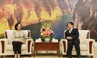 越南重视并优先发展与中国的多领域合作关系