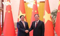 加强越中全面战略合作伙伴关系，提高越南在全球性问题上的发言权