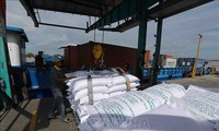 越南是菲律宾最大大米供应国