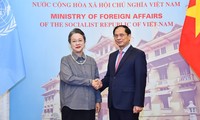 与联合国的合作在越南外交政策中始终占有重要地位        