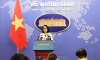越南外交部发言人就外交和国际问题答记者问