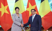促进越南和比利时关系进一步深广发展