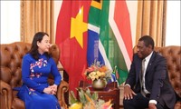 越南国家副主席武氏映春与南非副总统举行会谈