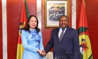 加强越南与莫桑比克和南非双边关系的新里程碑