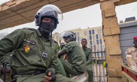 尼日尔军政府接受阿尔及利亚关于解决政治危机的倡议