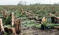 ​联合国：厄尔尼诺现象将持续到明年年中，威胁拉美农业