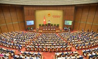 越南第十五届国会第二次会议第二天：国会分组讨论经济社会发展问题相关报告
