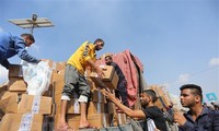 以-哈冲突：国际社会致力于加大人道主义援助力度