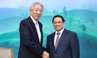 在适宜时间将越南与新加坡关系提升为全面战略伙伴关系