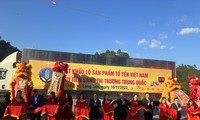 越南首批燕窝正式出口中国