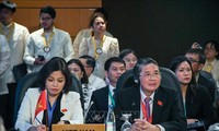 越南国会代表团参加亚太议会论坛第31届年会
