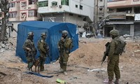 加沙地带全面停火协议11月24日生效