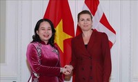 越南国家副主席武氏映春的丹麦和挪威之旅取得圆满成功