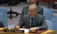 越南加强国际合作 防止跨国有组织犯罪