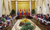 越南国家副主席武氏映春与南非副总统马沙蒂莱举行会谈
