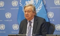 联合国呼吁刚果共和国举行和平选举