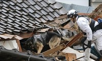 日本地震：84人伤亡，79人失踪