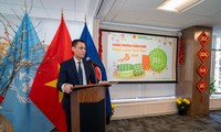越南驻联合国代表团向国际友人介绍春节美食