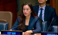 越南继续有效实施《防止、打击和消除小武器和轻武器非法贸易行动纲领》