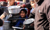 ​  粮食署暂时中止加沙人道主义行动