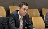 越南担任联合国亚太地区小组主席