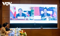 越南国会主席王庭惠与柬埔寨参议院议长洪森通电话