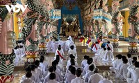 对越南宗教的评估不能基于单一案例
