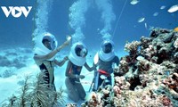 占婆岛被列为世界生物圈保护区15周年纪念活动举行