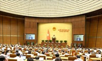 越南国会会议进入第3周工作：重点为质询和回答质询