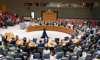 联合国安理会新选5个非常任理事国