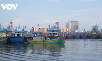 2030年渔港和渔船避风港系统规划获批