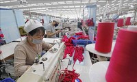 欧洲企业希望越南维持稳增长政策