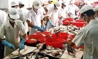 DOC AS mengumumkan keputusan terakhir tentang POR 7 terhadap ikan Patin Vietnam
