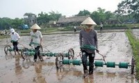 Perancangan penataan kembali kepemilikan sawah untuk membangun pedesaan baru di ibu kota Hanoi