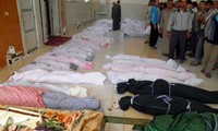 Pemerintah Suriah membantah semua keterkaitan dengan pembunuhan pada 25 Mei