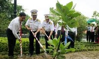 Kisah tentang seorang penanam pohon ketapang yang pertama di pulau Truong Sa Besar