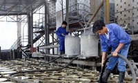Vietnam dan Jepang bekerjasama dalam mengelola resiko bahan kimia