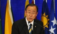 PBB membentuk Komite urusan mendorong perkembangan yang berkesinambungan