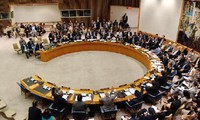 Dewan Keamanan PBB mengadakan sidang tentang situasi di Suriah