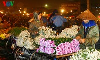 Pasar bunga Quang An yang ramai