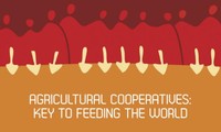 Koperasi pertanian adalah kunci untuk menghidupi seluruh dunia