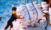 Vietnam mengekspor lebih dari 7 juta ton beras