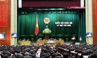 MN Vietnam berbahas di grup tentang rancangan amandemen UUD-1992