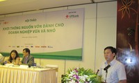 Dana  bantuan pengembangan badan usaha Vietnam  akan segera beraktivitas