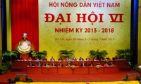 Mengembangkan peranan Himpunan Tani Vietnam dalam usaha membangun Tanah Air