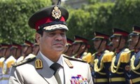 Menhan Mesir menegaskan tekad keras melawan kekerasan