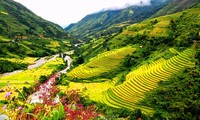 Provinsi Lao Cai akan menerima kedatangan satu juta wisatawan