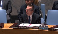 Dewan Keamanan PBB berbahas tentang situasi Timur Tengah